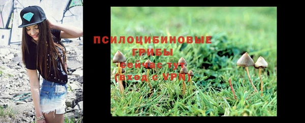 эйфоретик Алексеевка