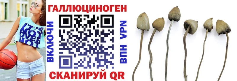 продажа наркотиков  Игарка  Псилоцибиновые грибы ЛСД 